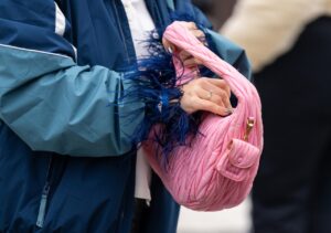 Read more about the article Miu Miu še naprej vodi igro: Lyst razkril najbolj vroče modne znamke Q2 2025